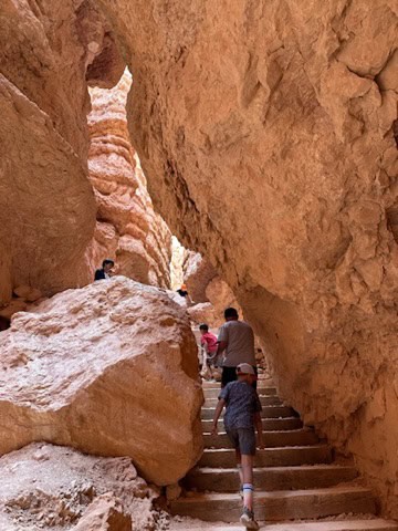 Stone steps climbing through the hoodoos on the Navajo Loop Trail