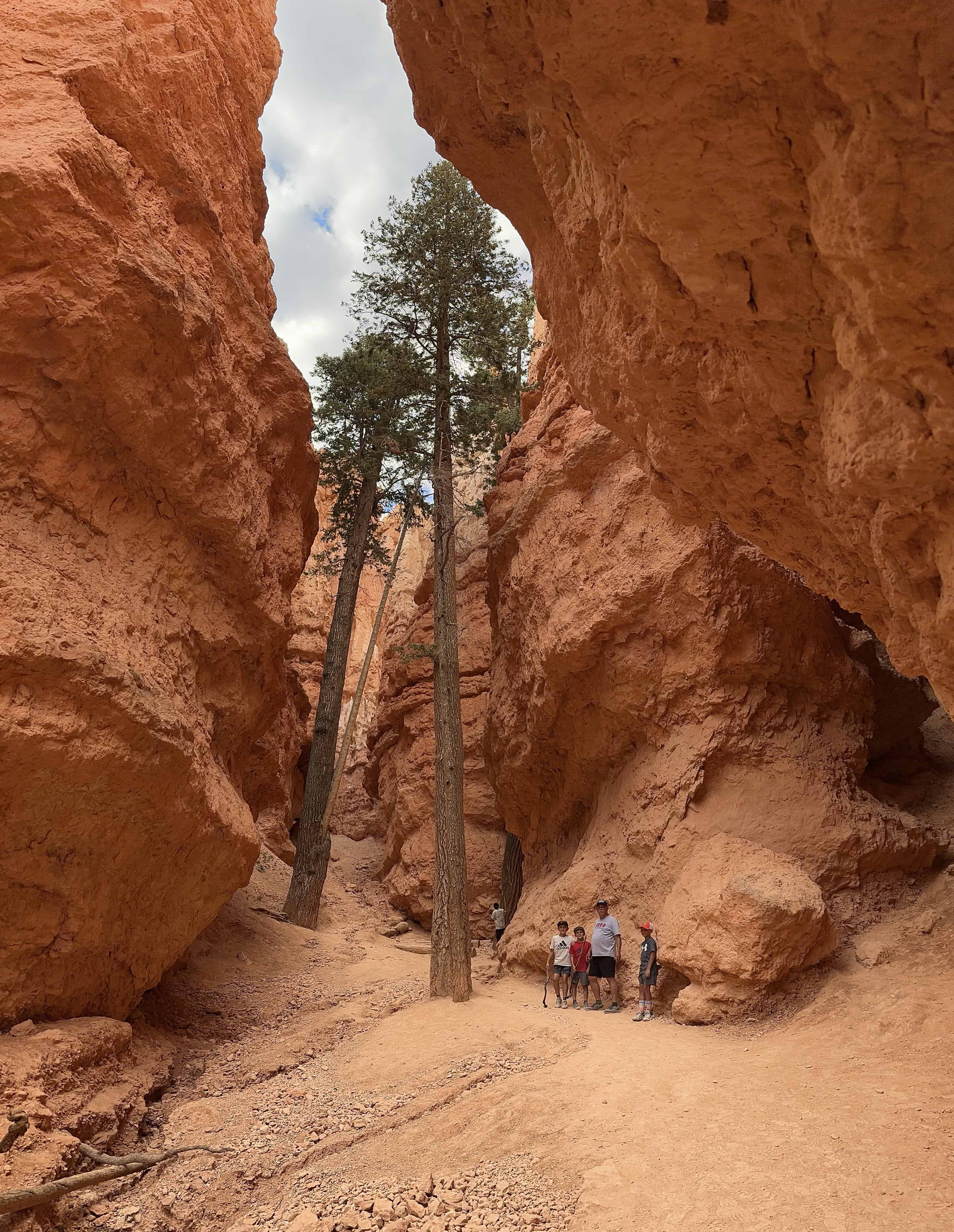 Bryce Canyon After Dark: The Most Underrated Mighty 5 Stop 6 A Bryce Canyon trail running between orange hoodoo walls