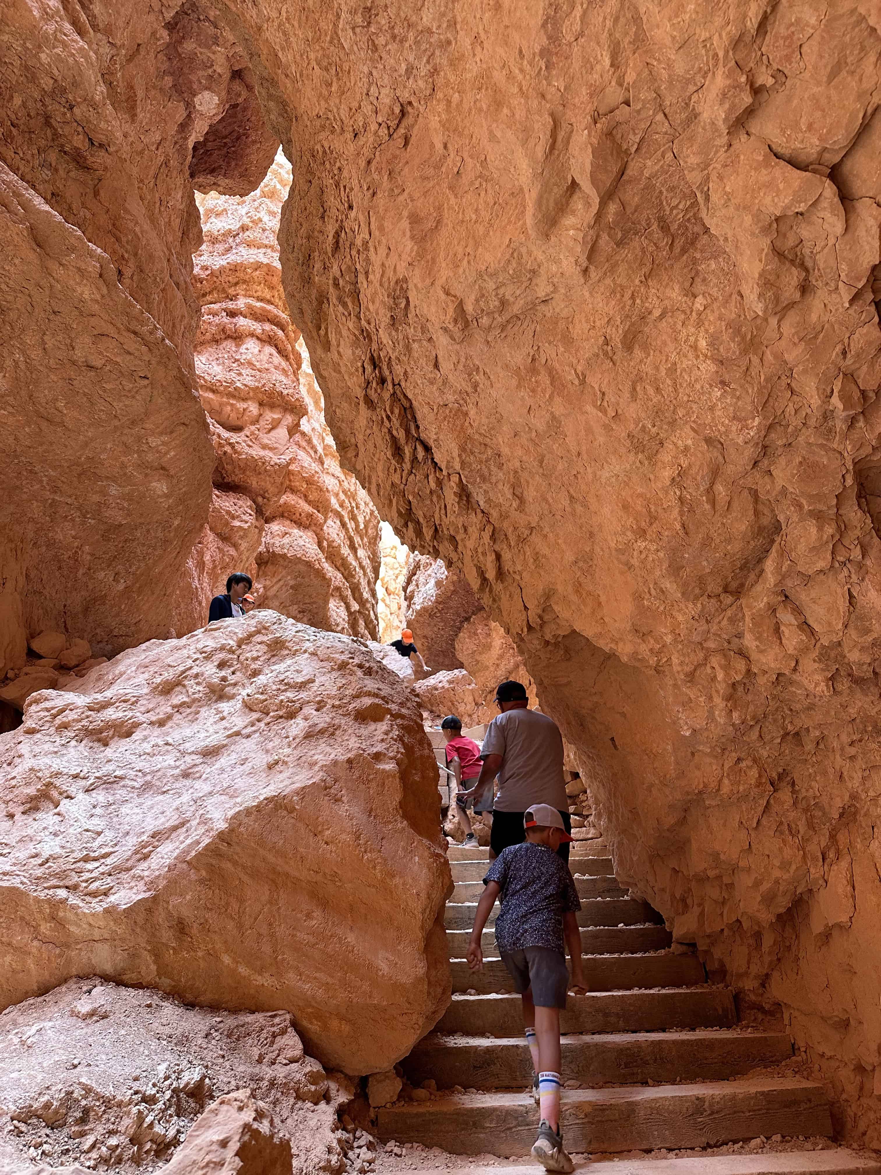 Bryce Canyon After Dark: The Most Underrated Mighty 5 Stop 7 Stone steps climbing through the hoodoos on the Navajo Loop Trail
