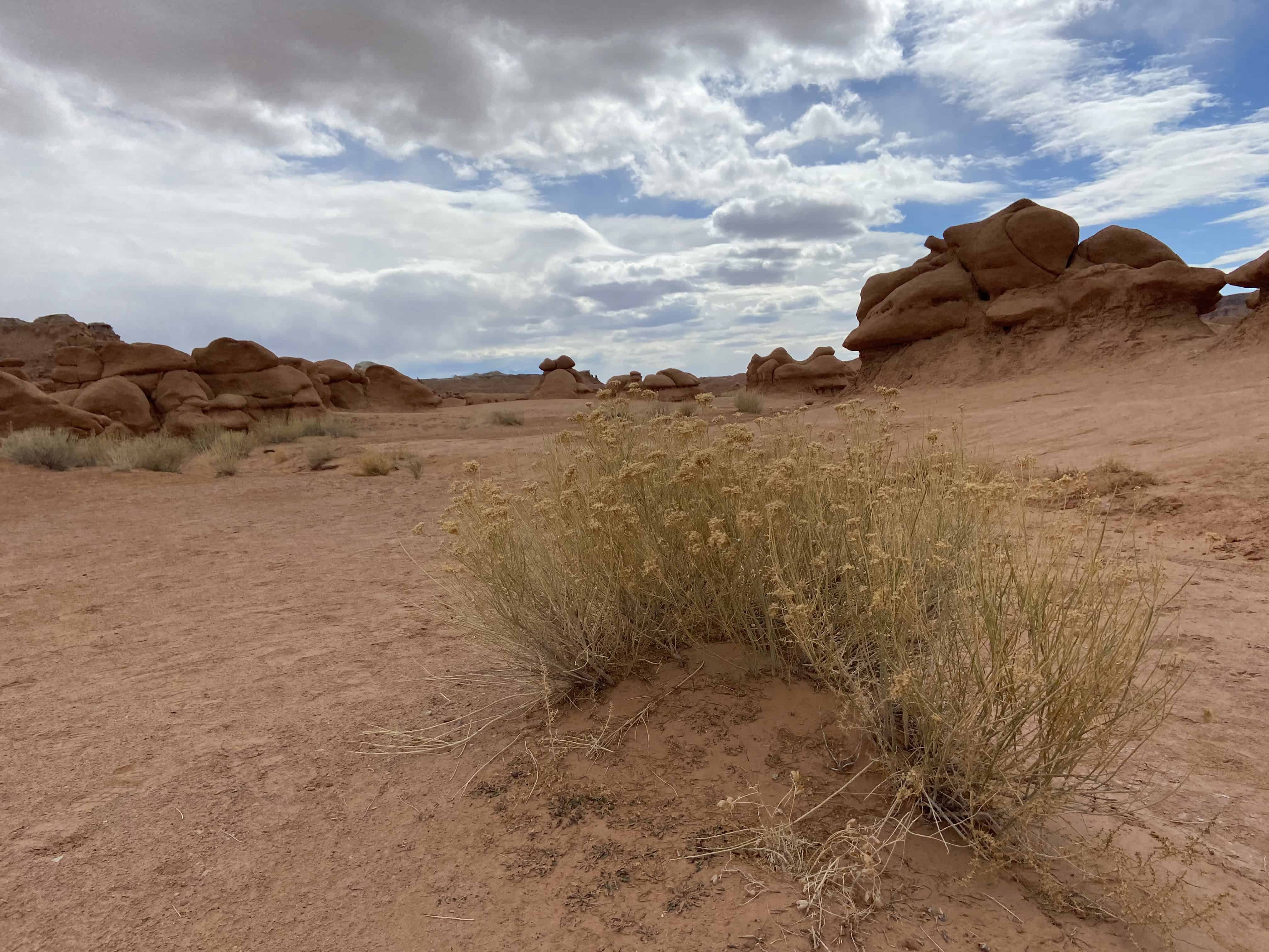 Desert landscape with red sand, sparse grass, and rock formations under a partly cloudy sky.