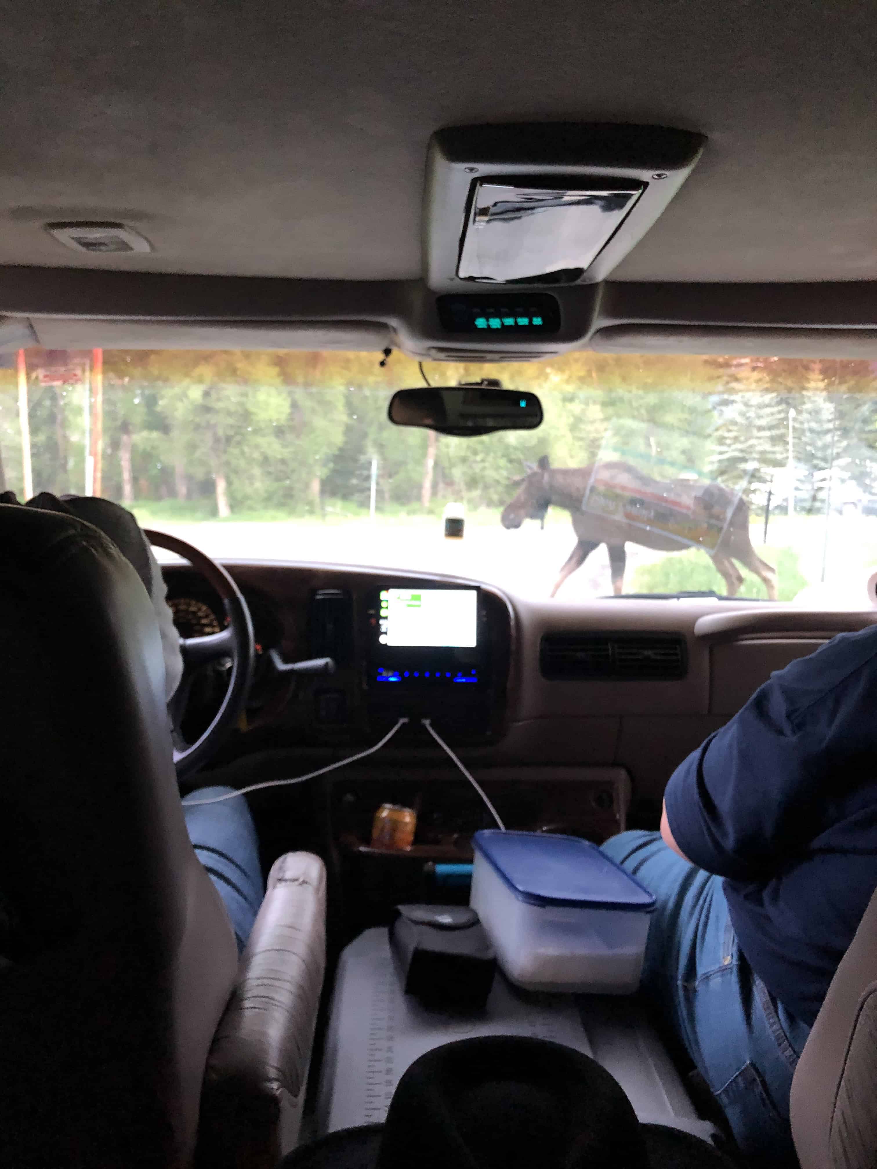 Interior of a vehicle with a horse visible through the window, showing a rural scene.