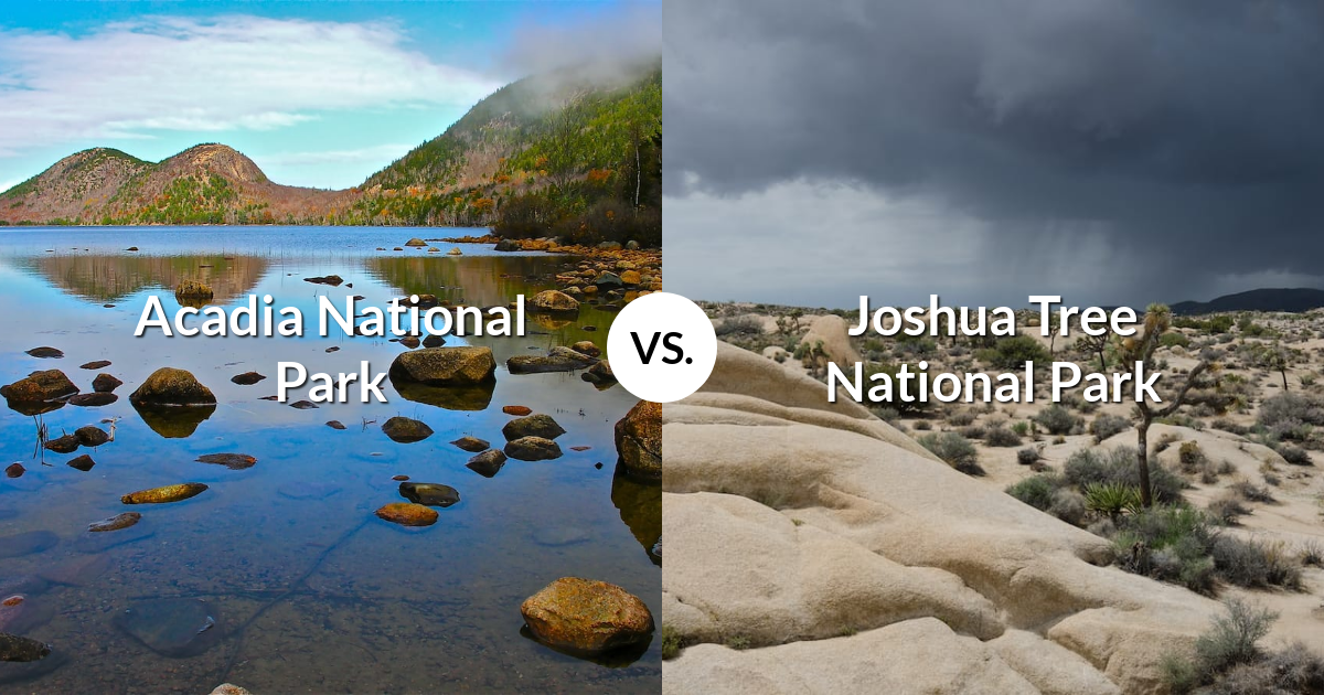 Acadia National Park vs Joshua Tree National Park