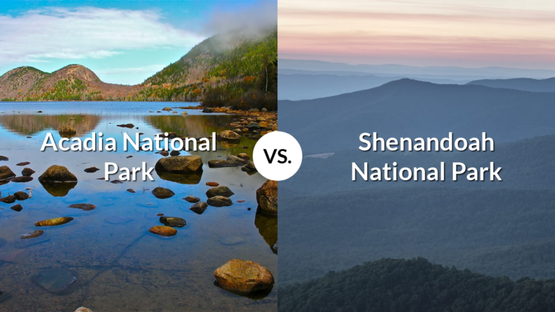 Acadia National Park vs Shenandoah National Park