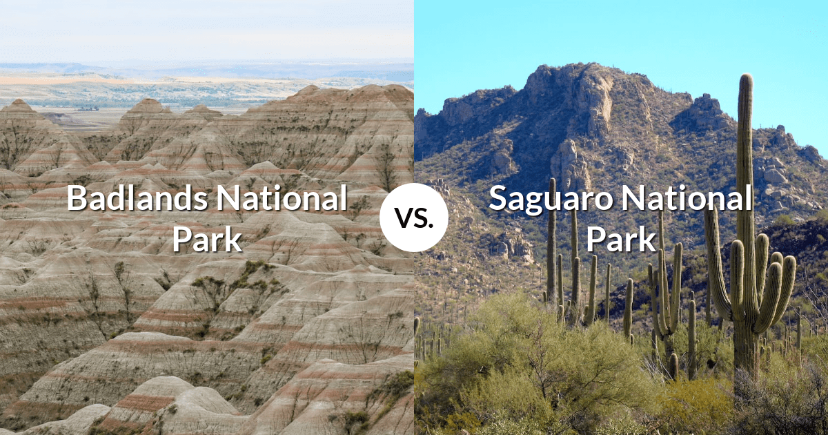 Badlands National Park vs Saguaro National Park