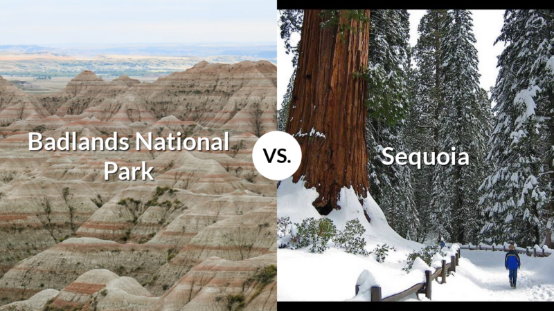 Badlands National Park vs Sequoia & Kings Canyon National Parks