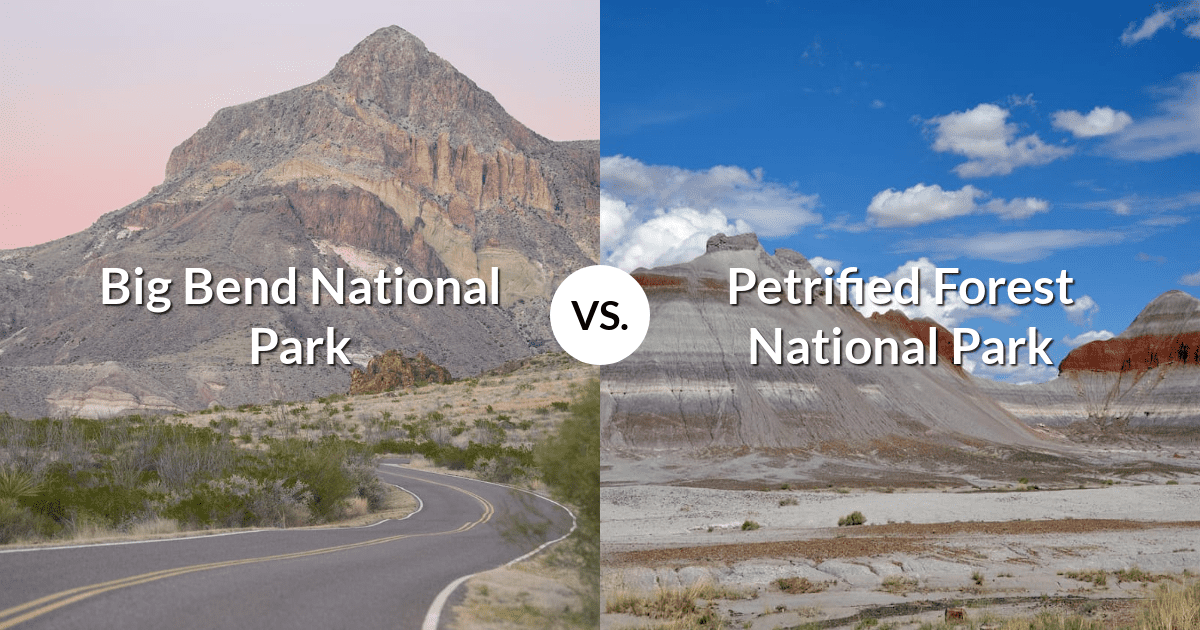 Big Bend National Park vs Petrified Forest National Park
