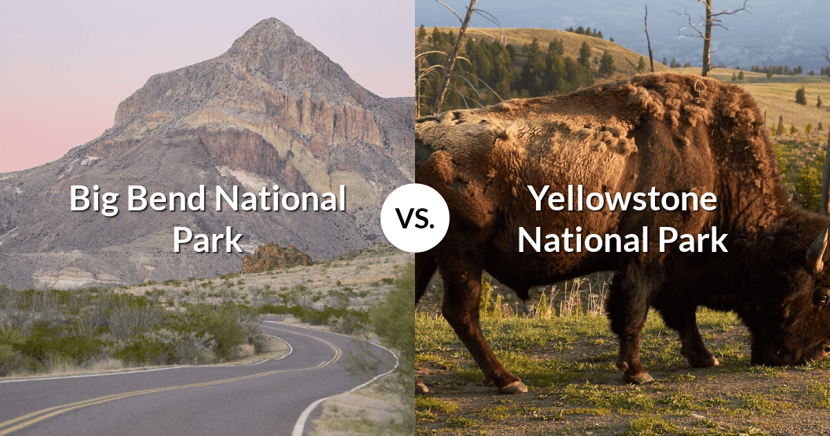 Big Bend National Park vs Yellowstone National Park