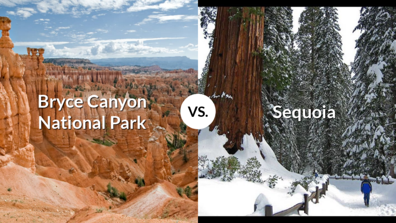 Bryce Canyon National Park vs Sequoia & Kings Canyon National Parks
