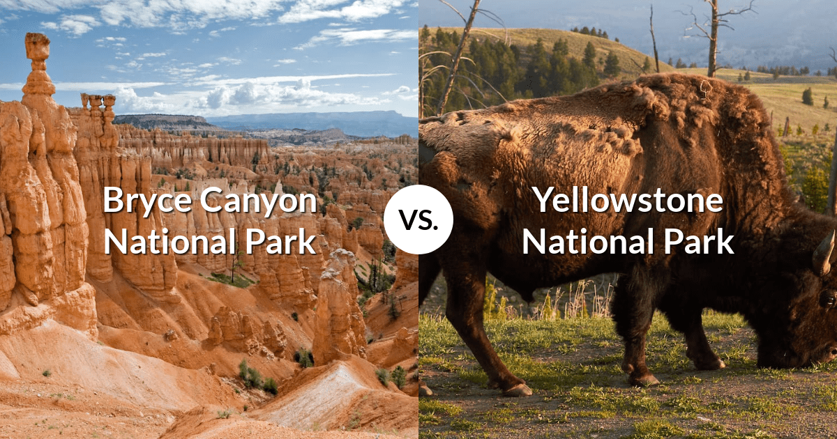 Bryce Canyon National Park vs Yellowstone National Park