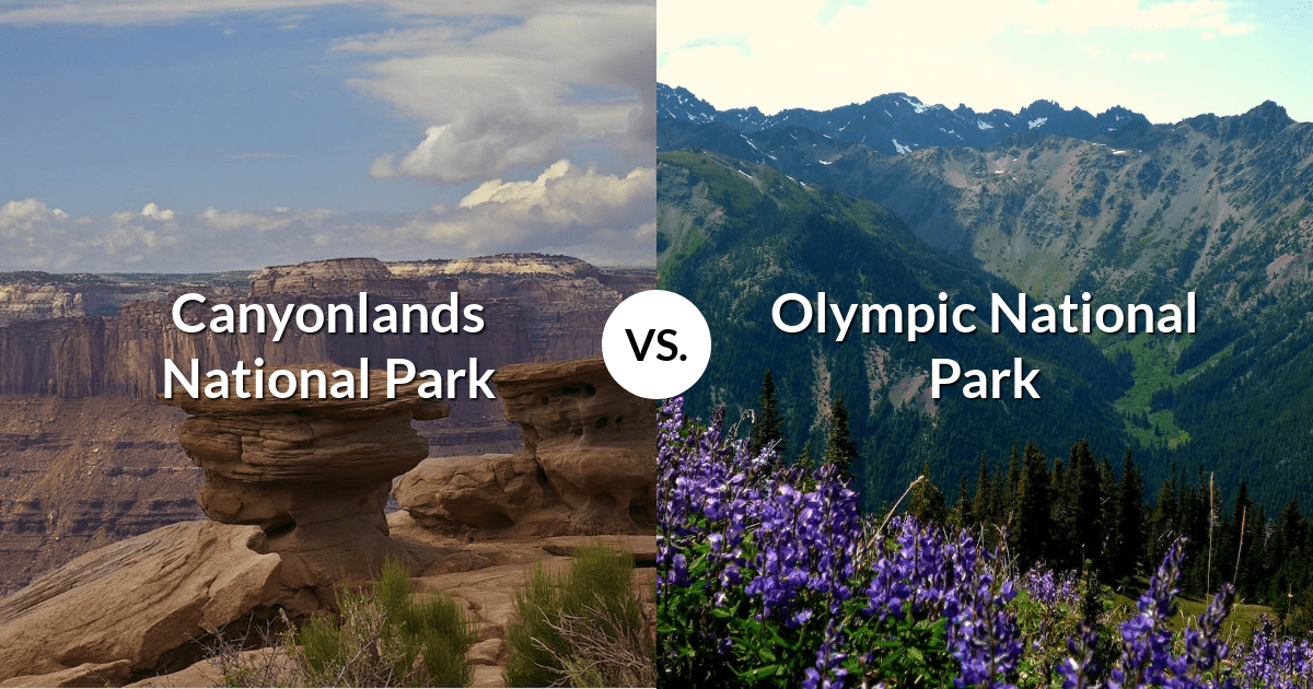 Canyonlands National Park vs Olympic National Park