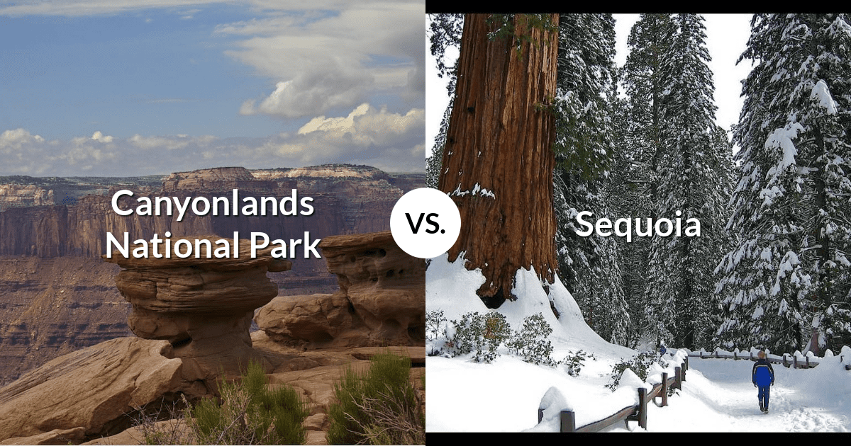 Canyonlands National Park vs Sequoia & Kings Canyon National Parks