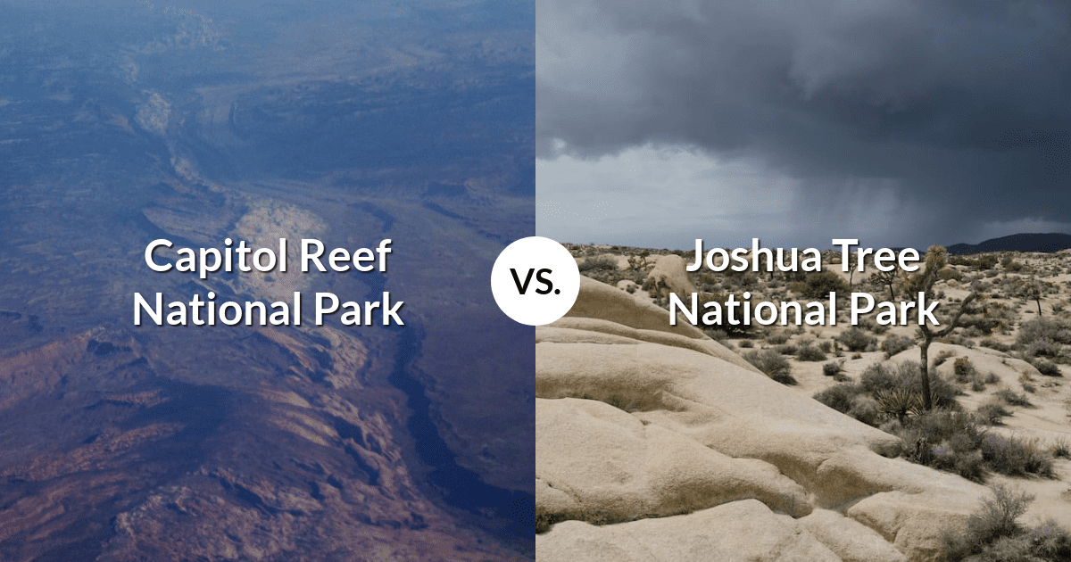 Capitol Reef National Park vs Joshua Tree National Park