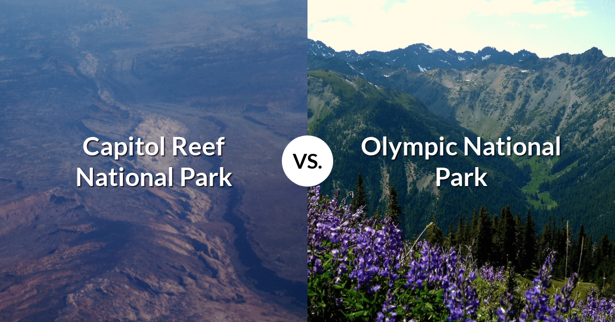 Capitol Reef National Park vs Olympic National Park