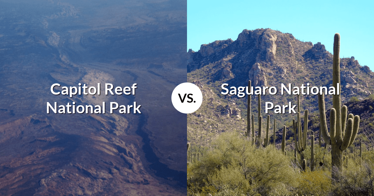 Capitol Reef National Park vs Saguaro National Park