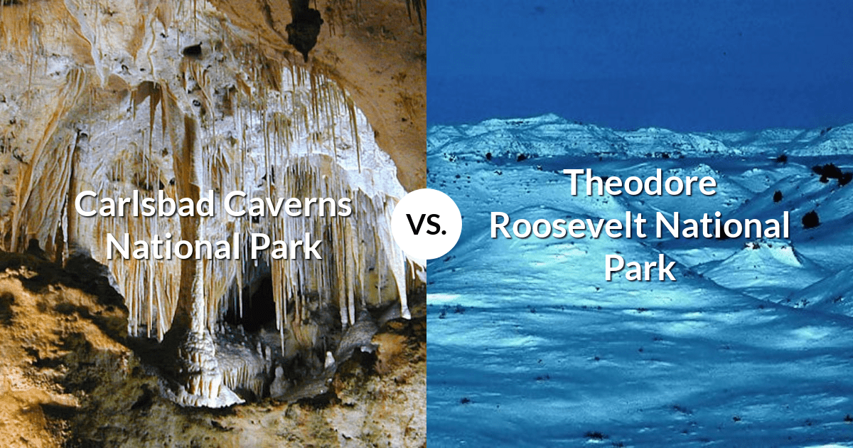 Carlsbad Caverns National Park vs Theodore Roosevelt National Park