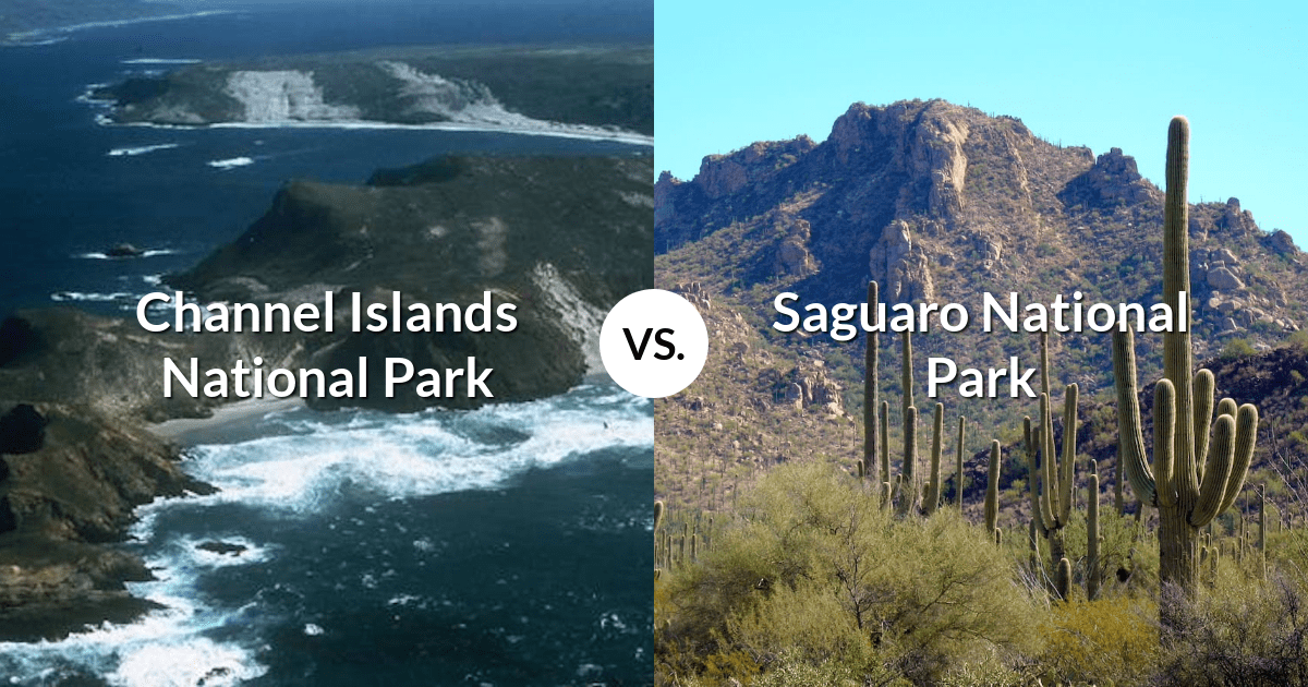 Channel Islands National Park vs Saguaro National Park