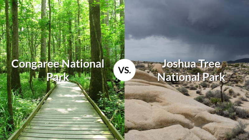 Congaree National Park vs Joshua Tree National Park