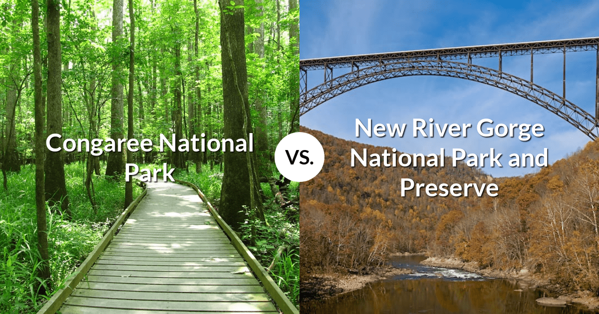 Congaree National Park vs New River Gorge National Park and Preserve