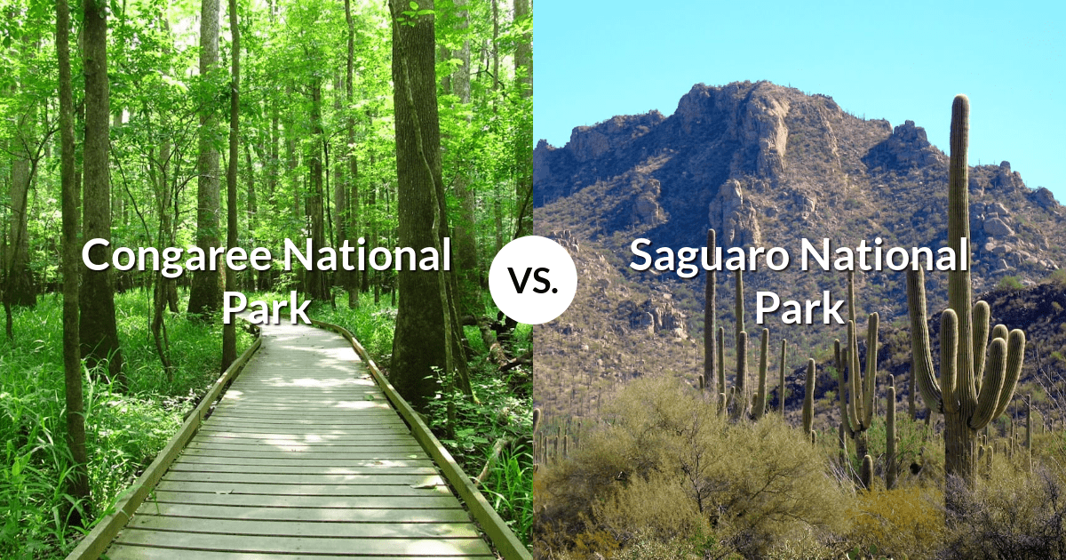 Congaree National Park vs Saguaro National Park