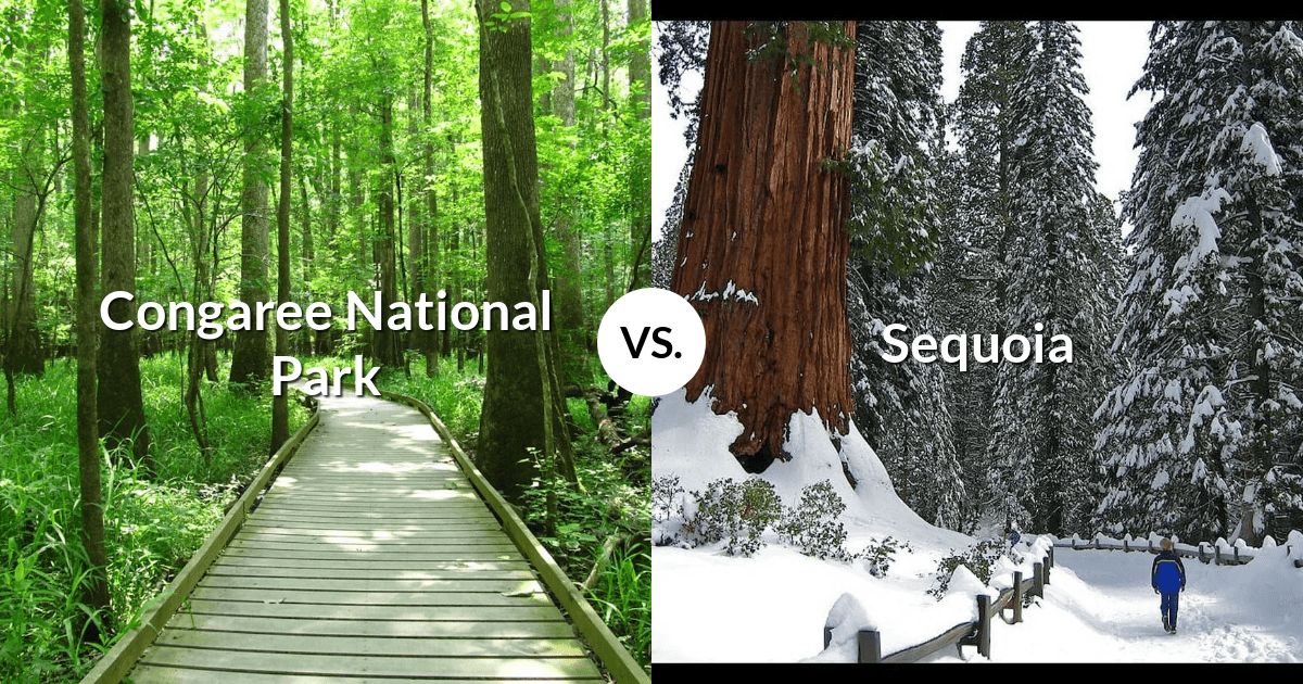 Congaree National Park vs Sequoia & Kings Canyon National Parks