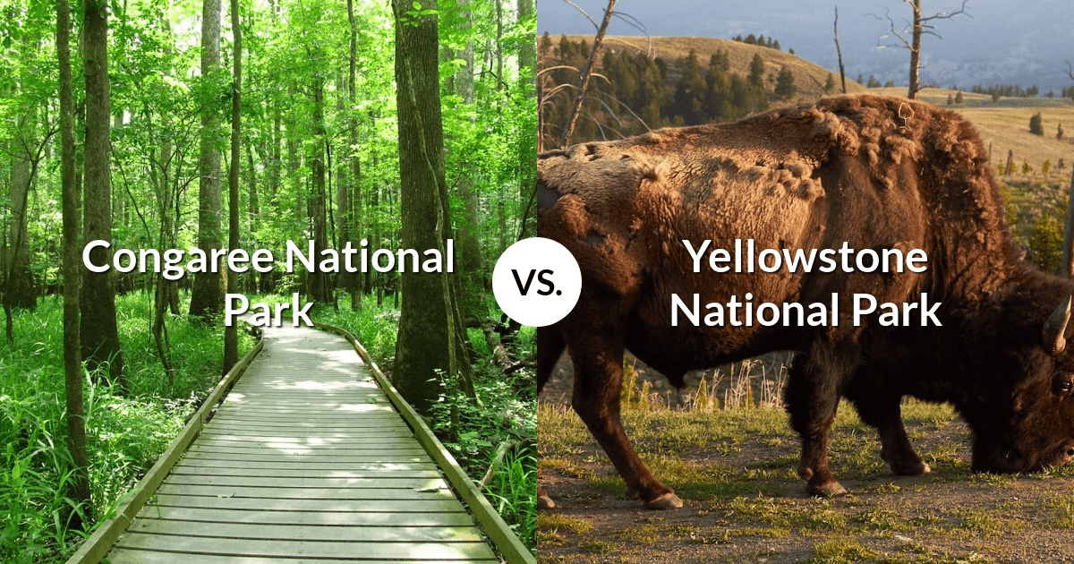 Congaree National Park vs Yellowstone National Park