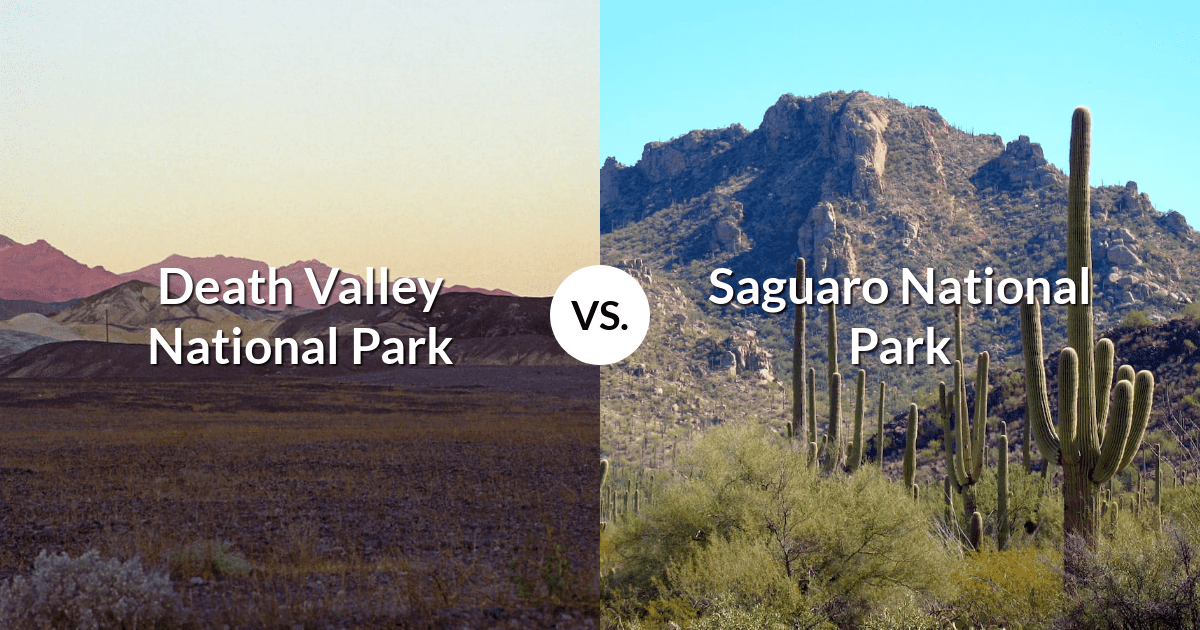 Death Valley National Park vs Saguaro National Park