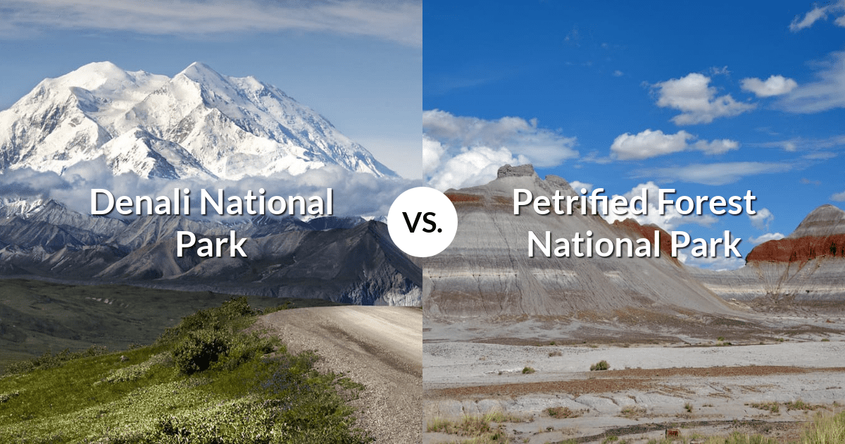 Denali National Park & Preserve vs Petrified Forest National Park