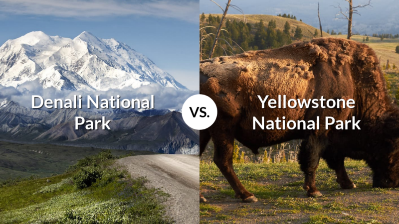 Denali National Park & Preserve vs Yellowstone National Park