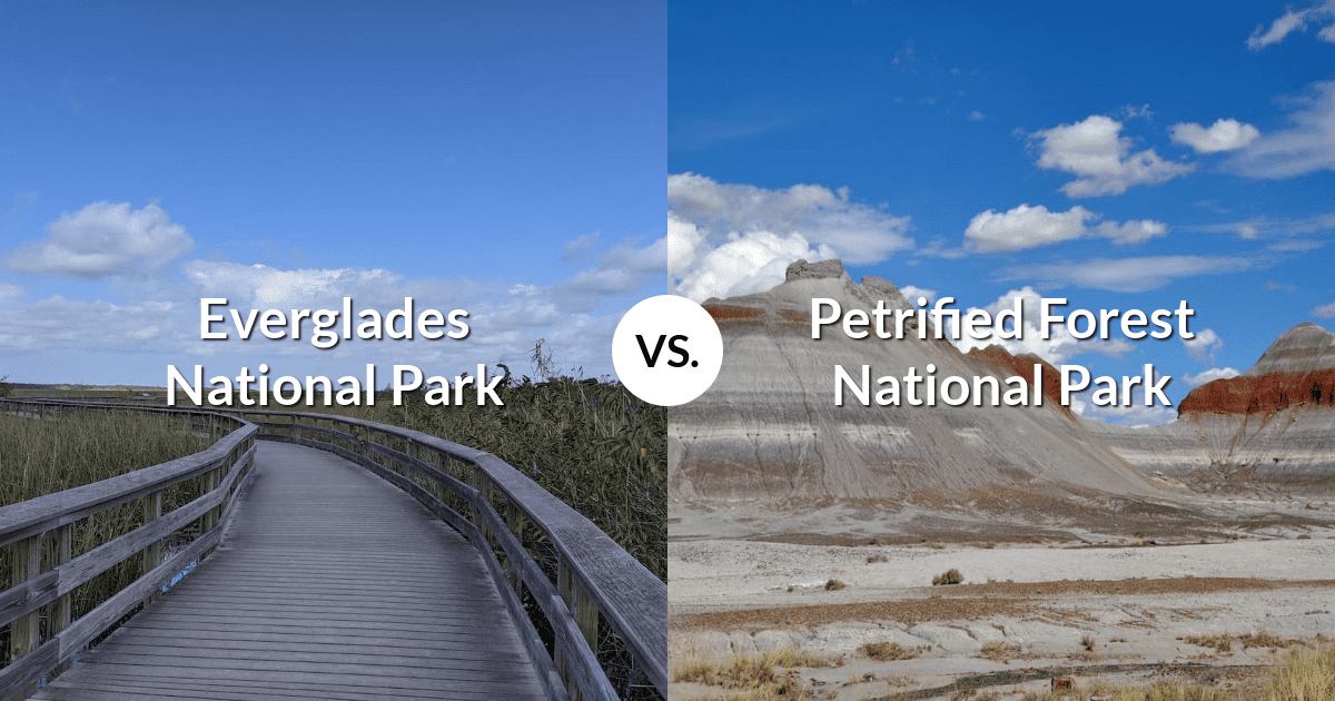 Everglades National Park vs Petrified Forest National Park
