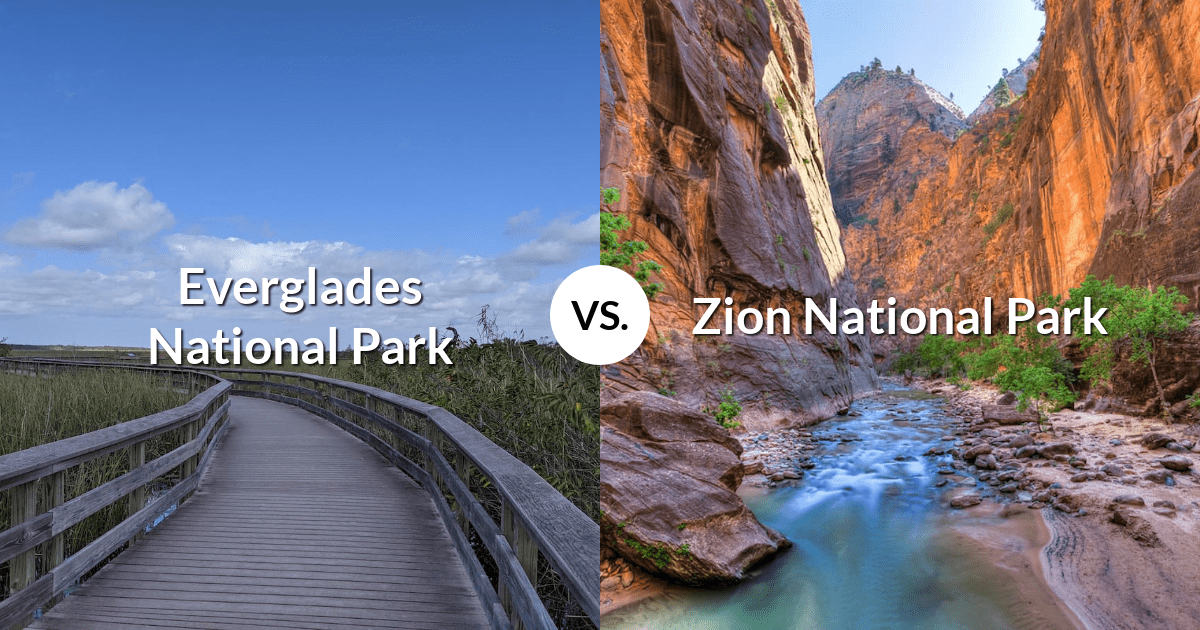 Everglades National Park vs Zion National Park