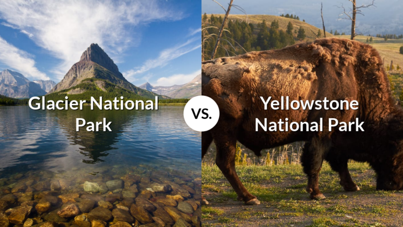 Glacier National Park vs Yellowstone National Park