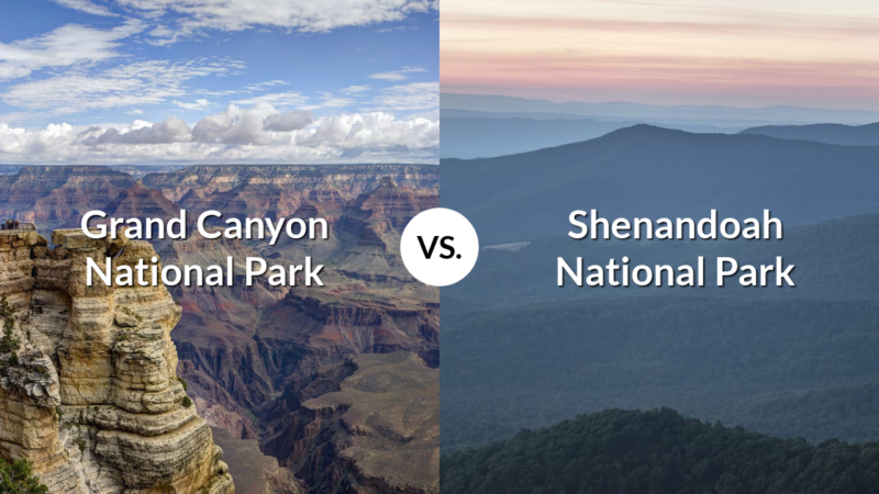 Grand Canyon National Park vs Shenandoah National Park