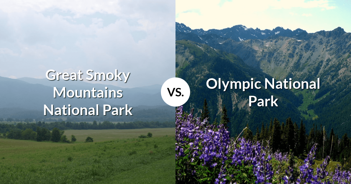 Great Smoky Mountains National Park vs Olympic National Park