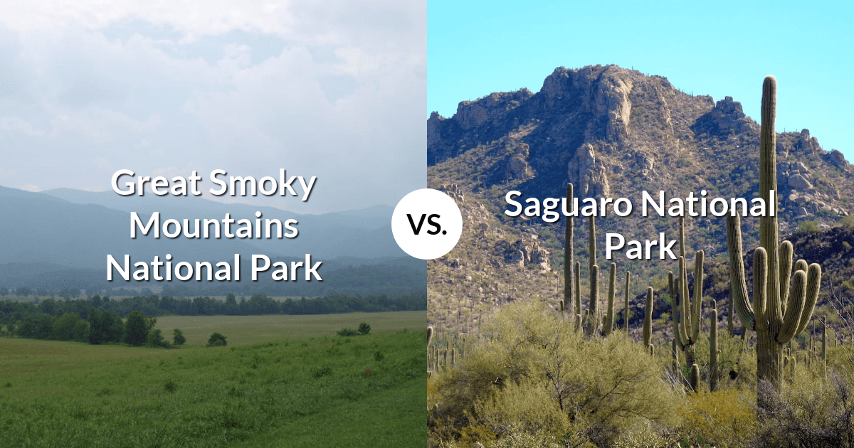 Great Smoky Mountains National Park vs Saguaro National Park