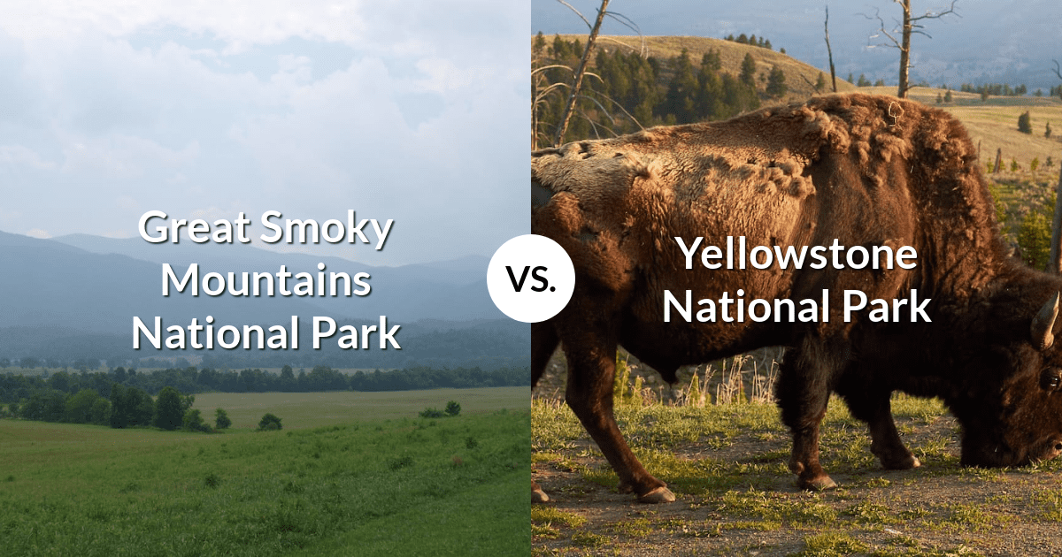 Great Smoky Mountains National Park vs Yellowstone National Park