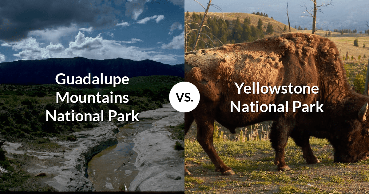 Guadalupe Mountains National Park vs Yellowstone National Park