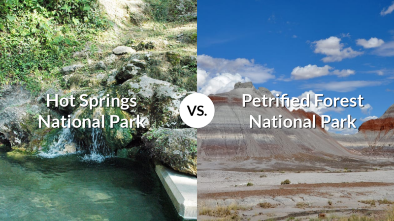 Hot Springs National Park vs Petrified Forest National Park