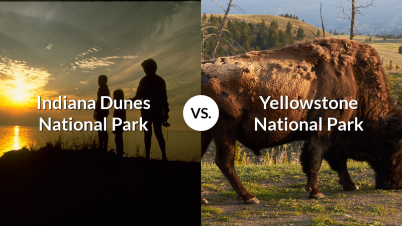 Indiana Dunes National Park vs Yellowstone National Park