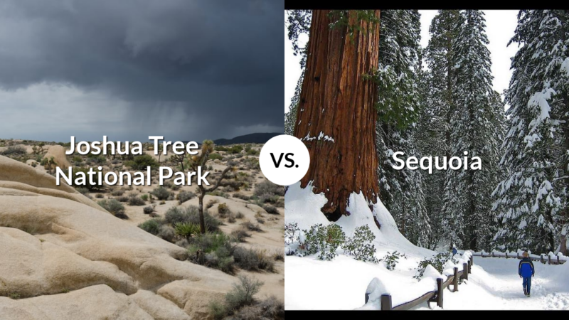 Joshua Tree National Park vs Sequoia & Kings Canyon National Parks