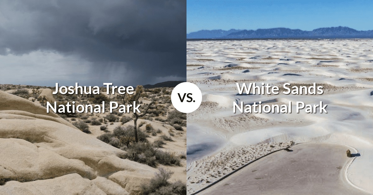 Joshua Tree National Park vs White Sands National Park