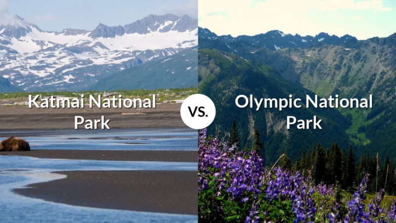 Katmai National Park & Preserve vs Olympic National Park