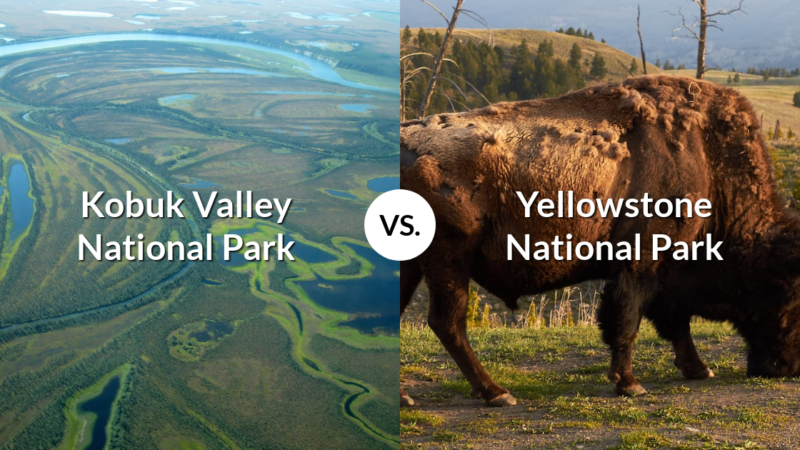 Kobuk Valley National Park vs Yellowstone National Park
