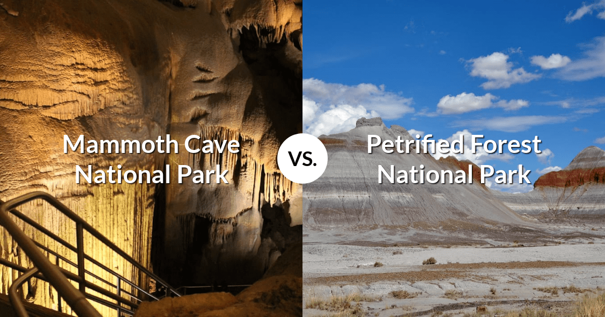 Mammoth Cave National Park vs Petrified Forest National Park