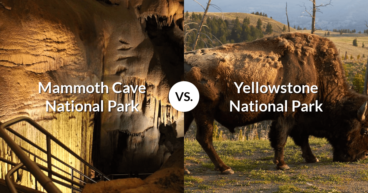 Mammoth Cave National Park vs Yellowstone National Park
