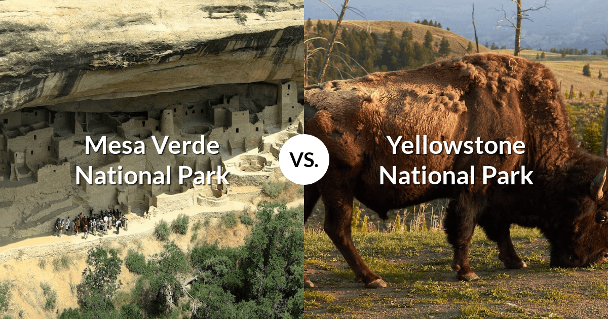 Mesa Verde National Park vs Yellowstone National Park
