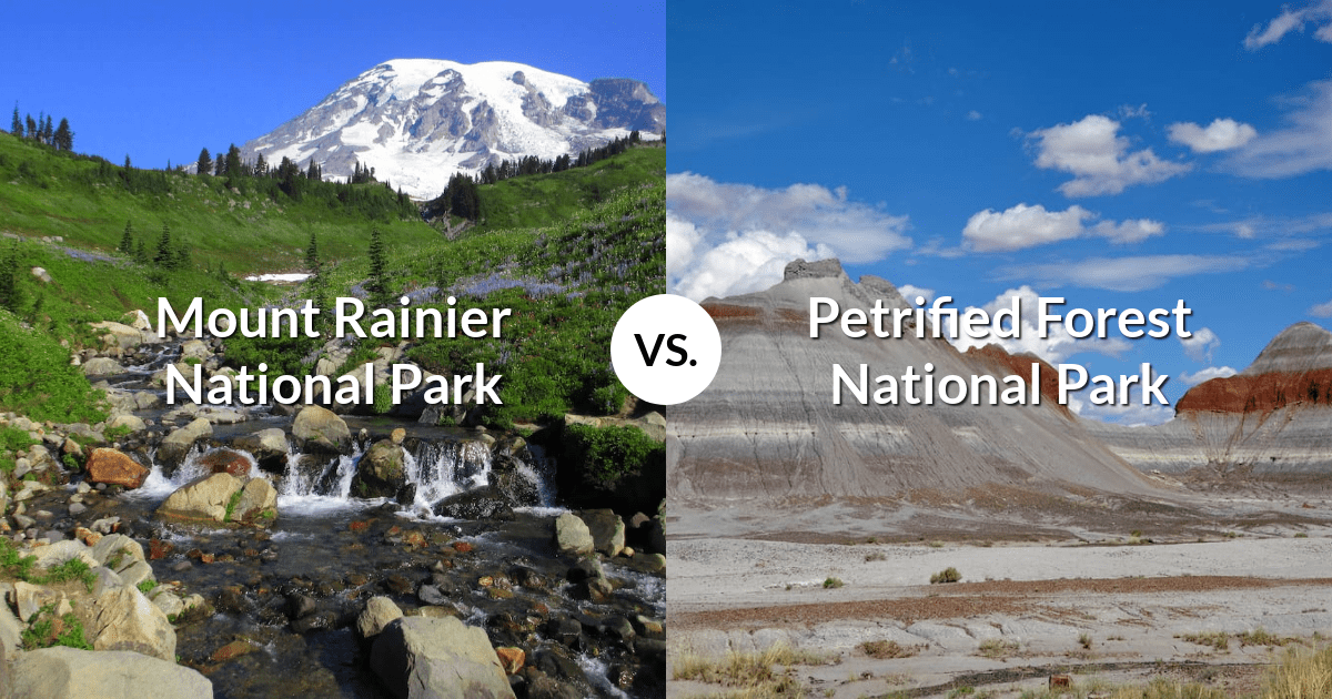 Mount Rainier National Park vs Petrified Forest National Park
