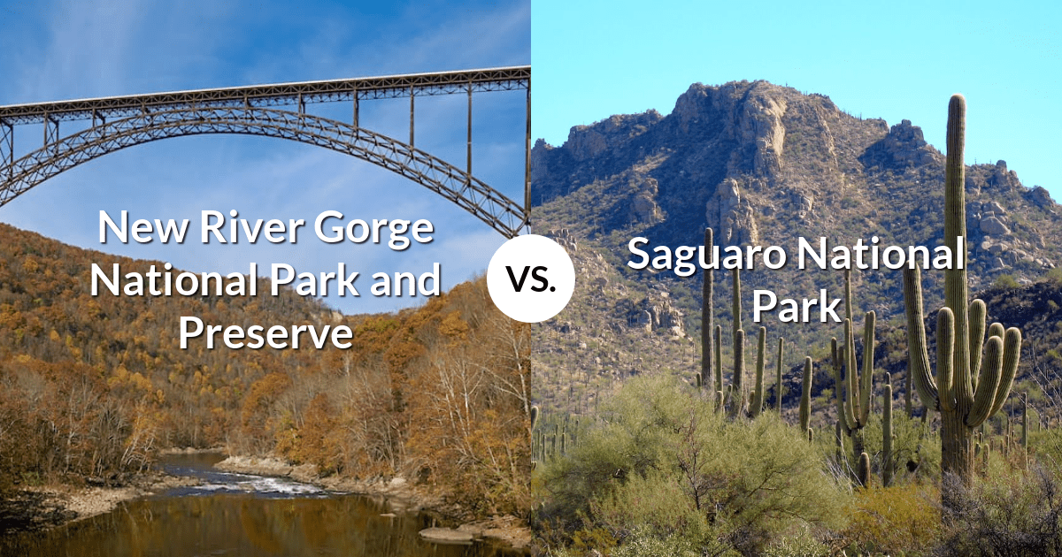 New River Gorge National Park and Preserve vs Saguaro National Park