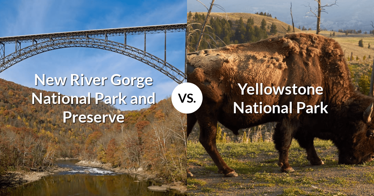New River Gorge National Park and Preserve vs Yellowstone National Park