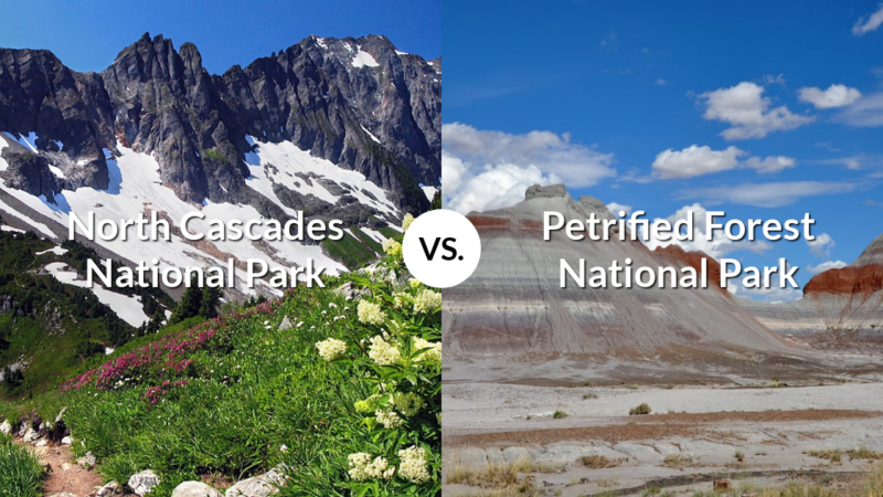 North Cascades National Park vs Petrified Forest National Park