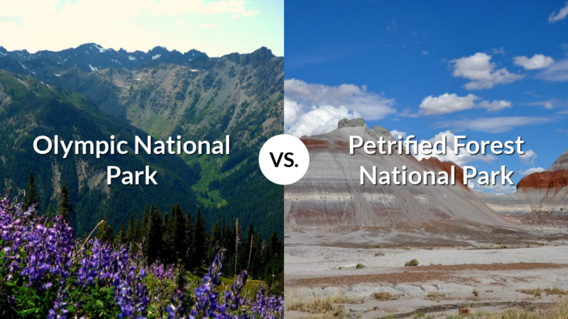 Olympic National Park vs Petrified Forest National Park